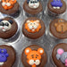 🦁🦒Chocolate Covered Oreo's “Safari” 🐘Box of 24 - Bear Creek Candy Kitchen